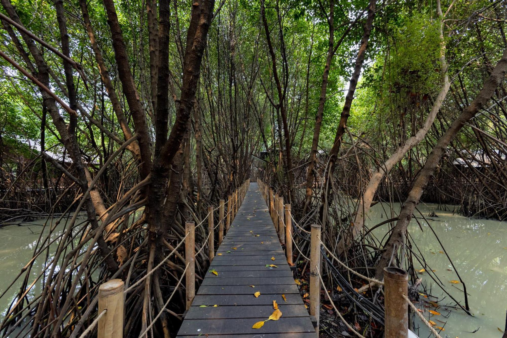 Reddoorz Resort @ Taman Wisata Mangrove Giacarta Esterno foto
