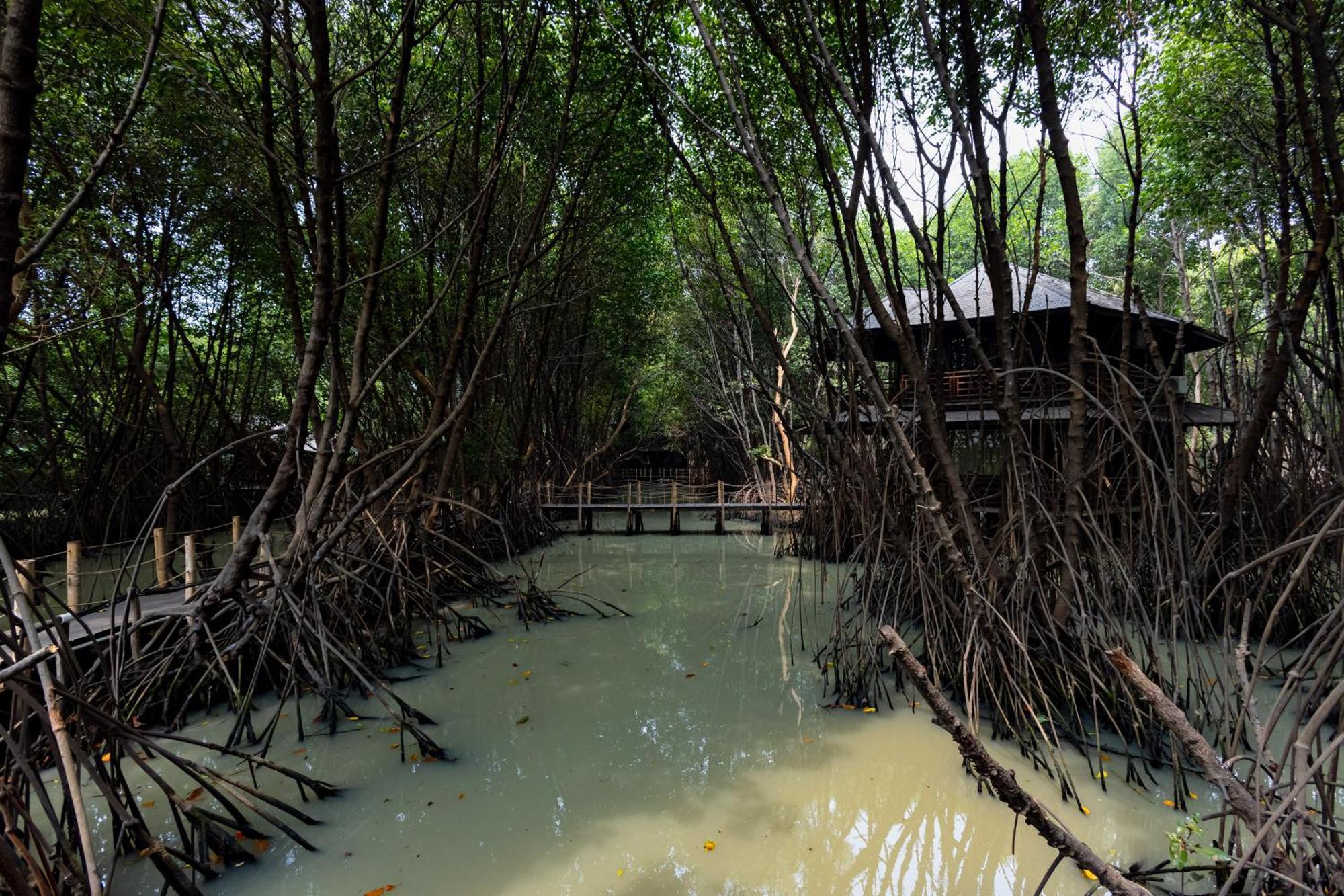 Reddoorz Resort @ Taman Wisata Mangrove Giacarta Esterno foto