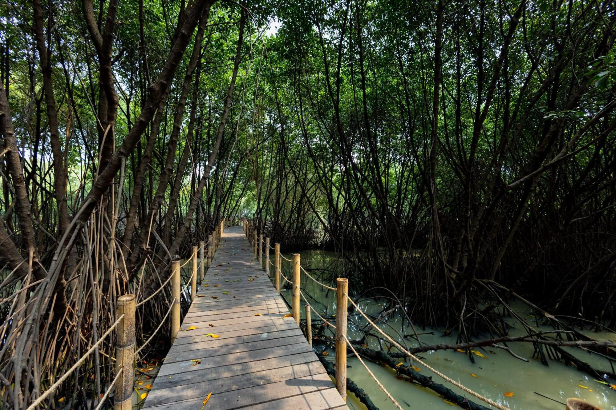 Reddoorz Resort @ Taman Wisata Mangrove Giacarta Esterno foto